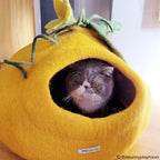 Cat Cave product image 3