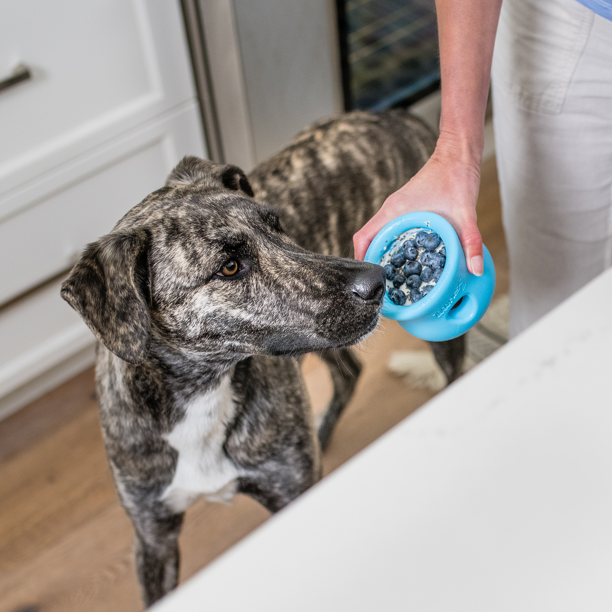 Fillable Dog Puzzle Toy product image 7