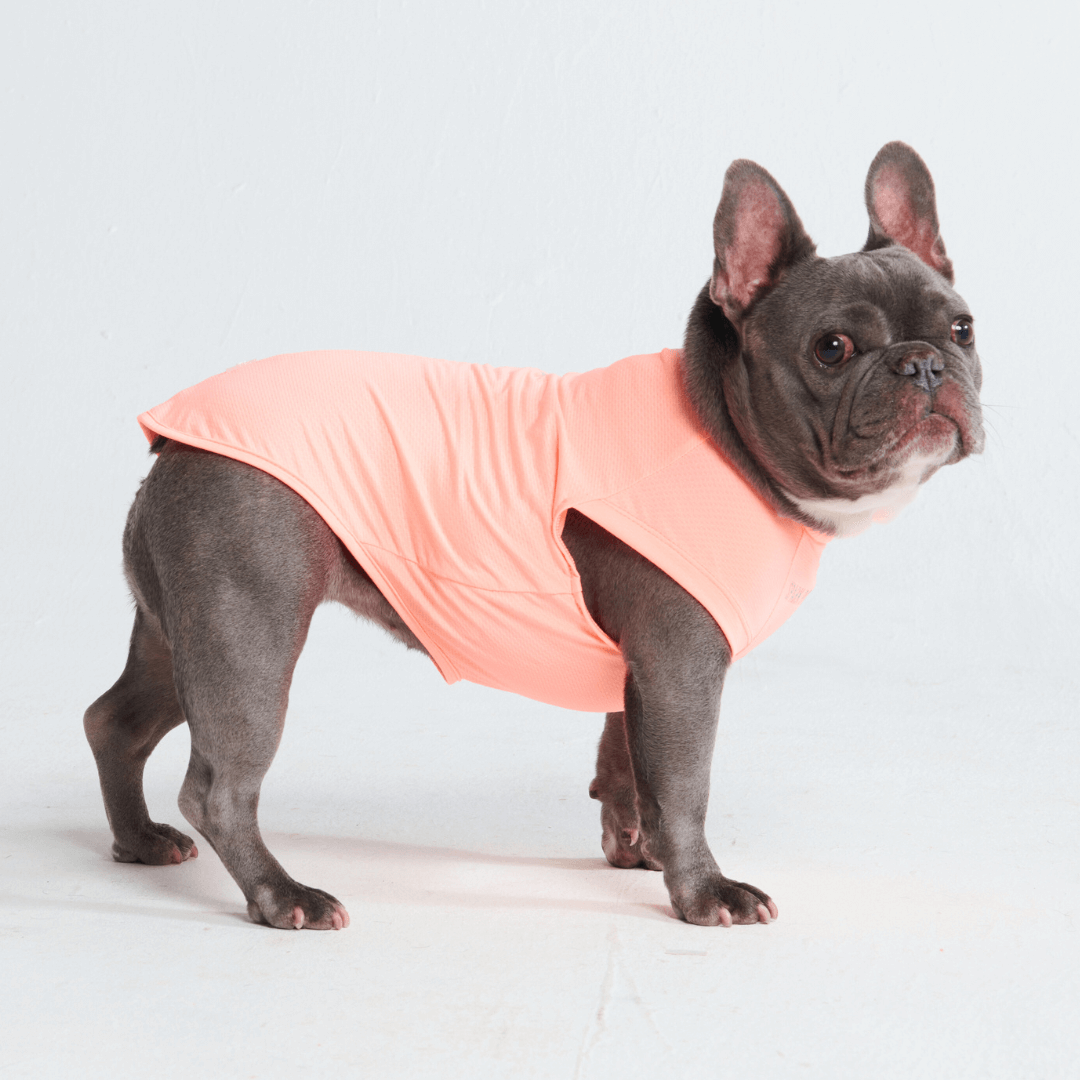 UPF 30 Dog Sun Shirt product image 25