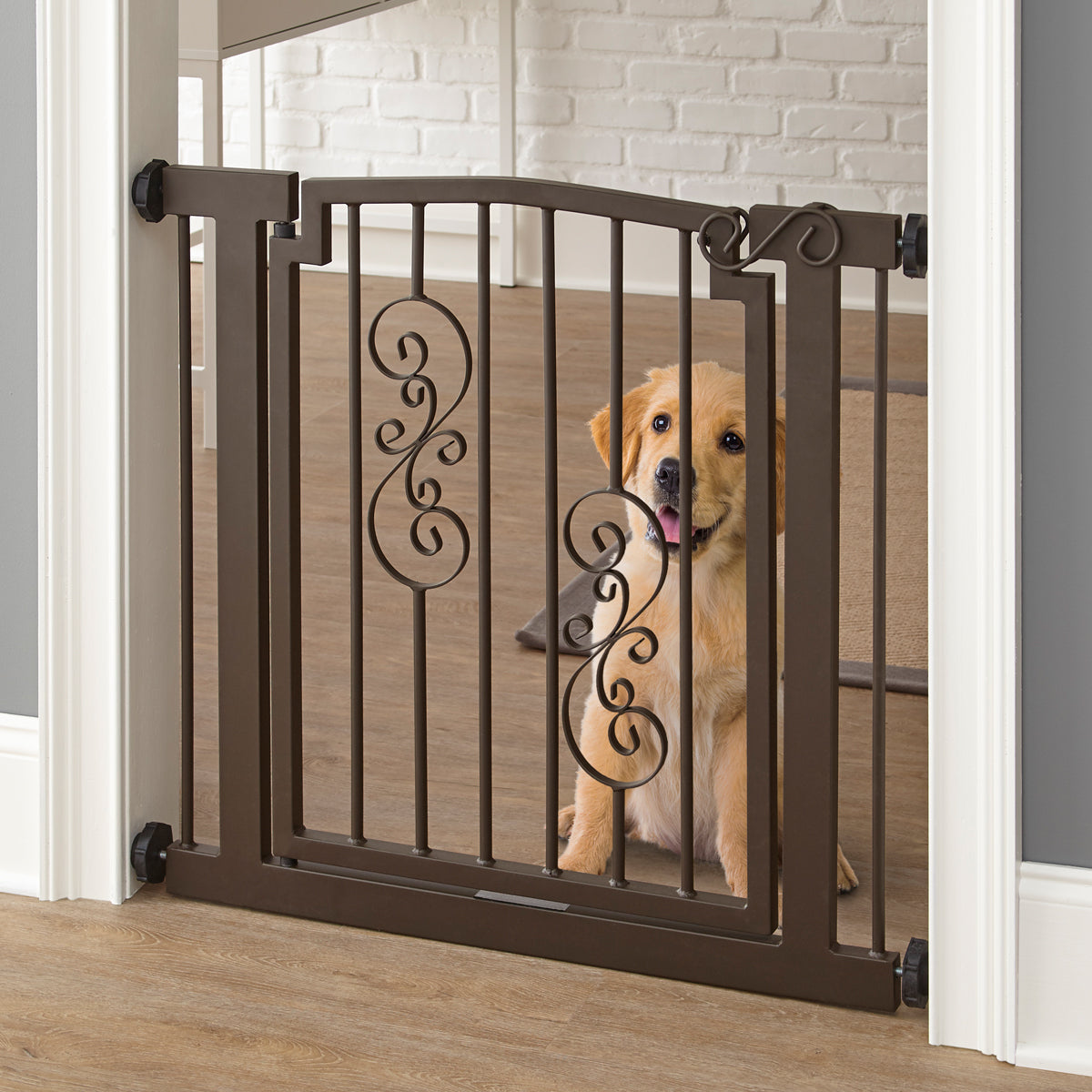 Decorative Wrought Iron Dog Gate product image 1