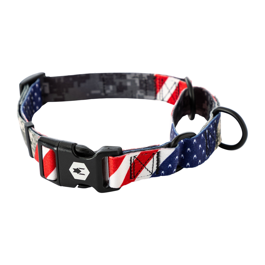 Martingale Dog Collar product image 2