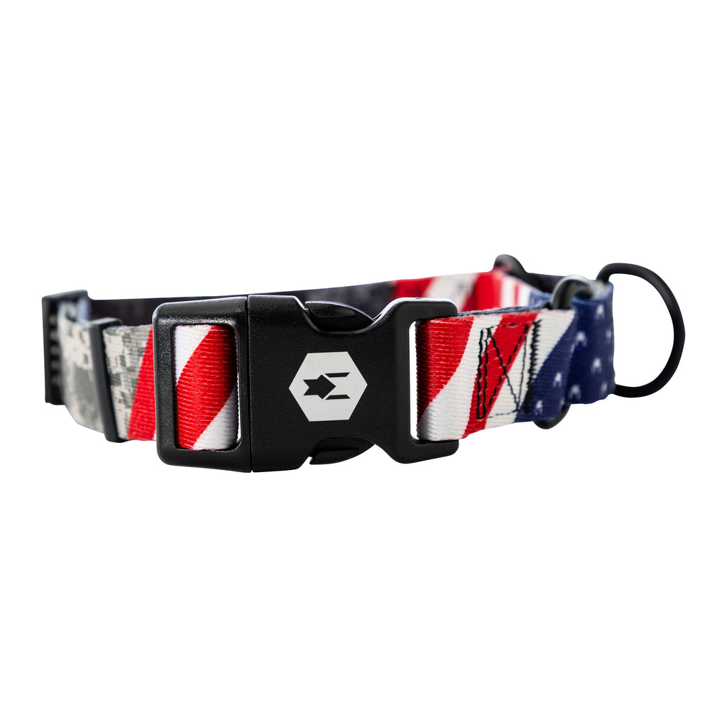 Martingale Dog Collar product image 4
