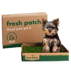 Pet Grass Patch product image 1