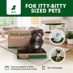 Pet Grass Patch product image 3