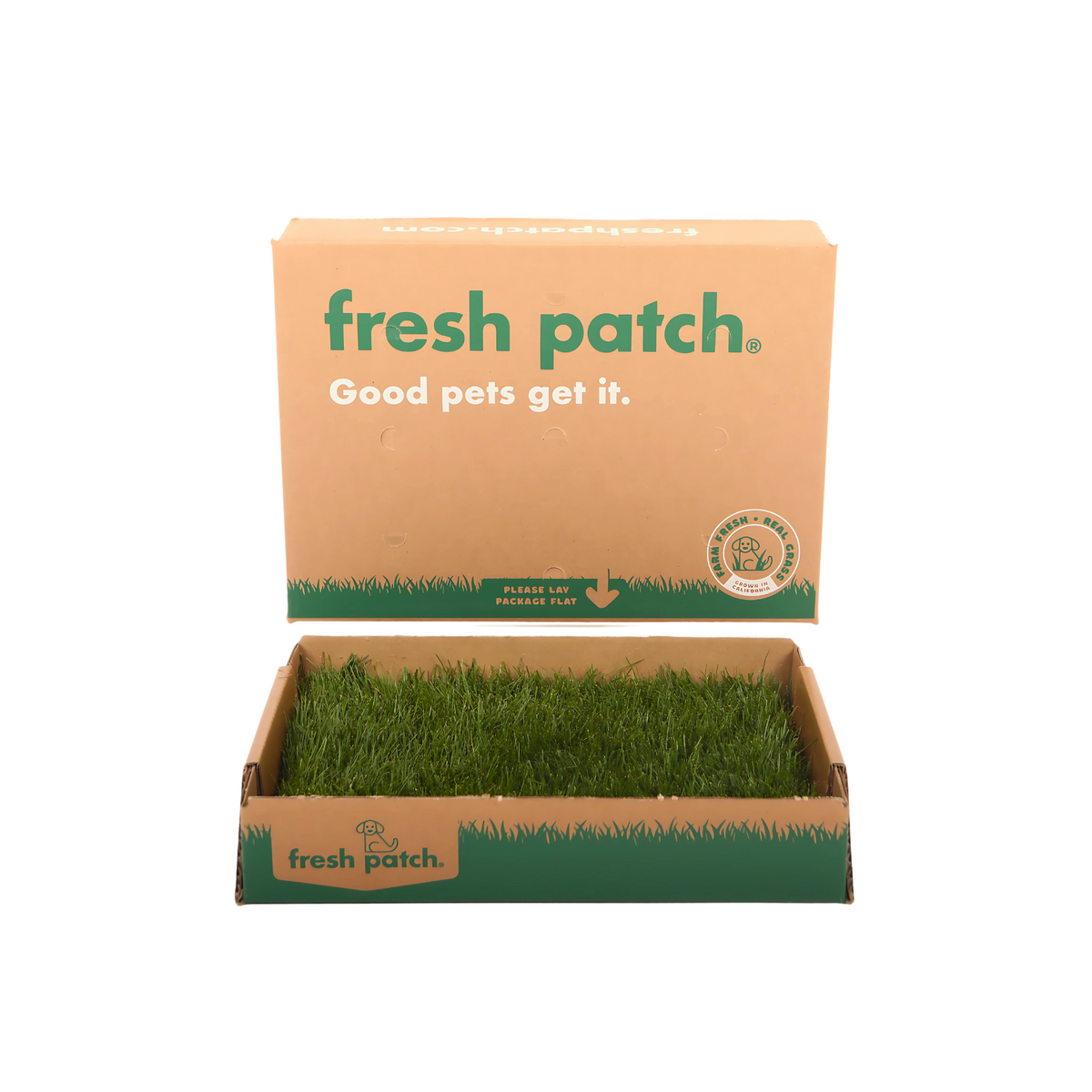 Pet Grass Patch product image 9