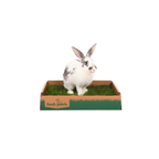 Pet Grass Patch product image 10