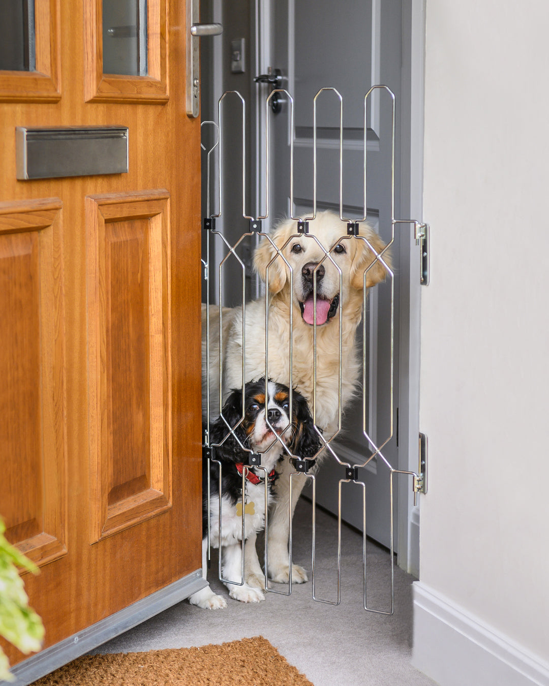 Front Door Dog Safety Gate product image 1
