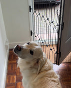 Front Door Dog Safety Gate product image 2