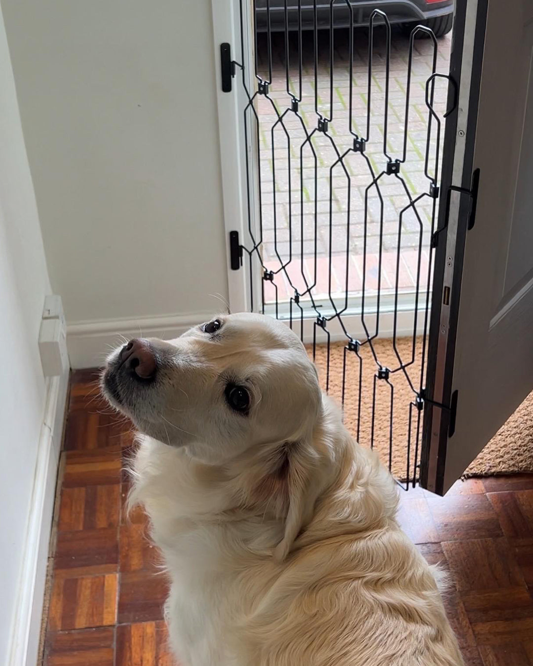 Front Door Dog Safety Gate product image 2