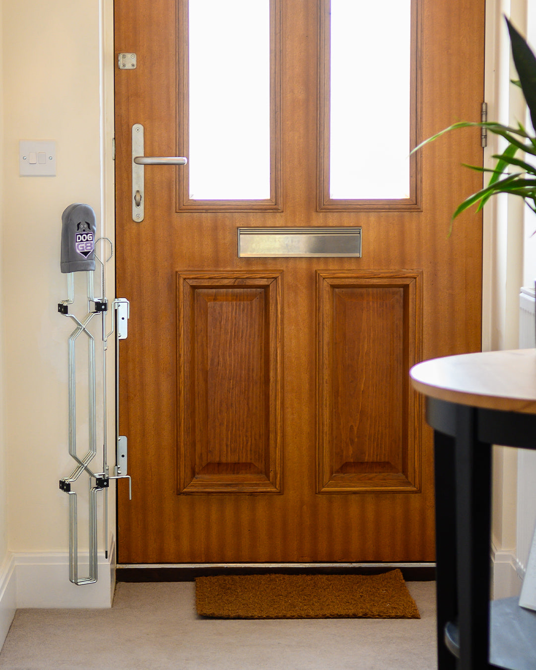 Front Door Dog Safety Gate product image 4