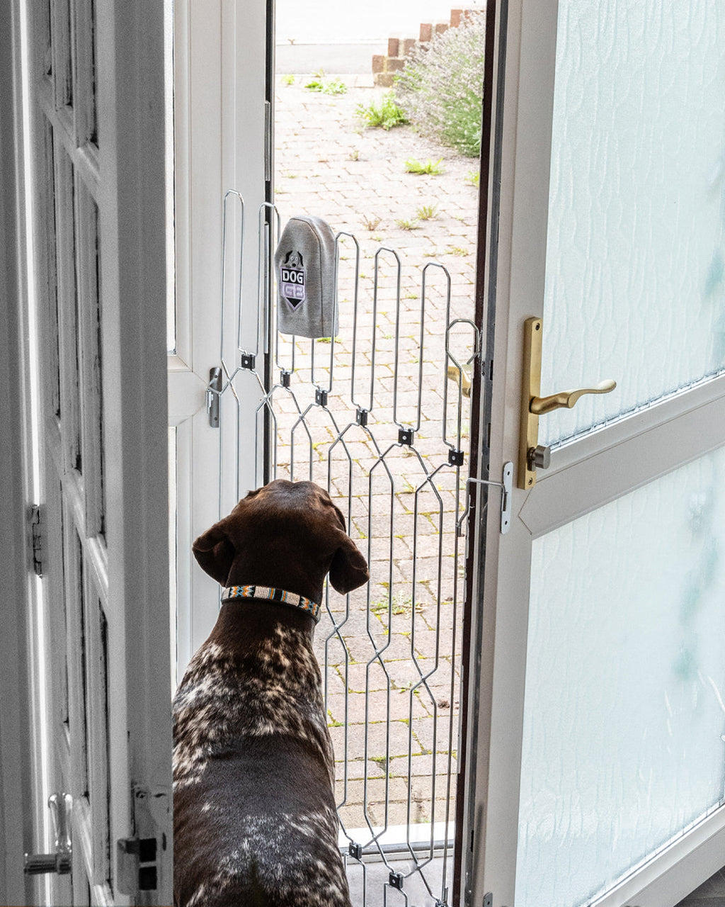 Front Door Dog Safety Gate product image 5