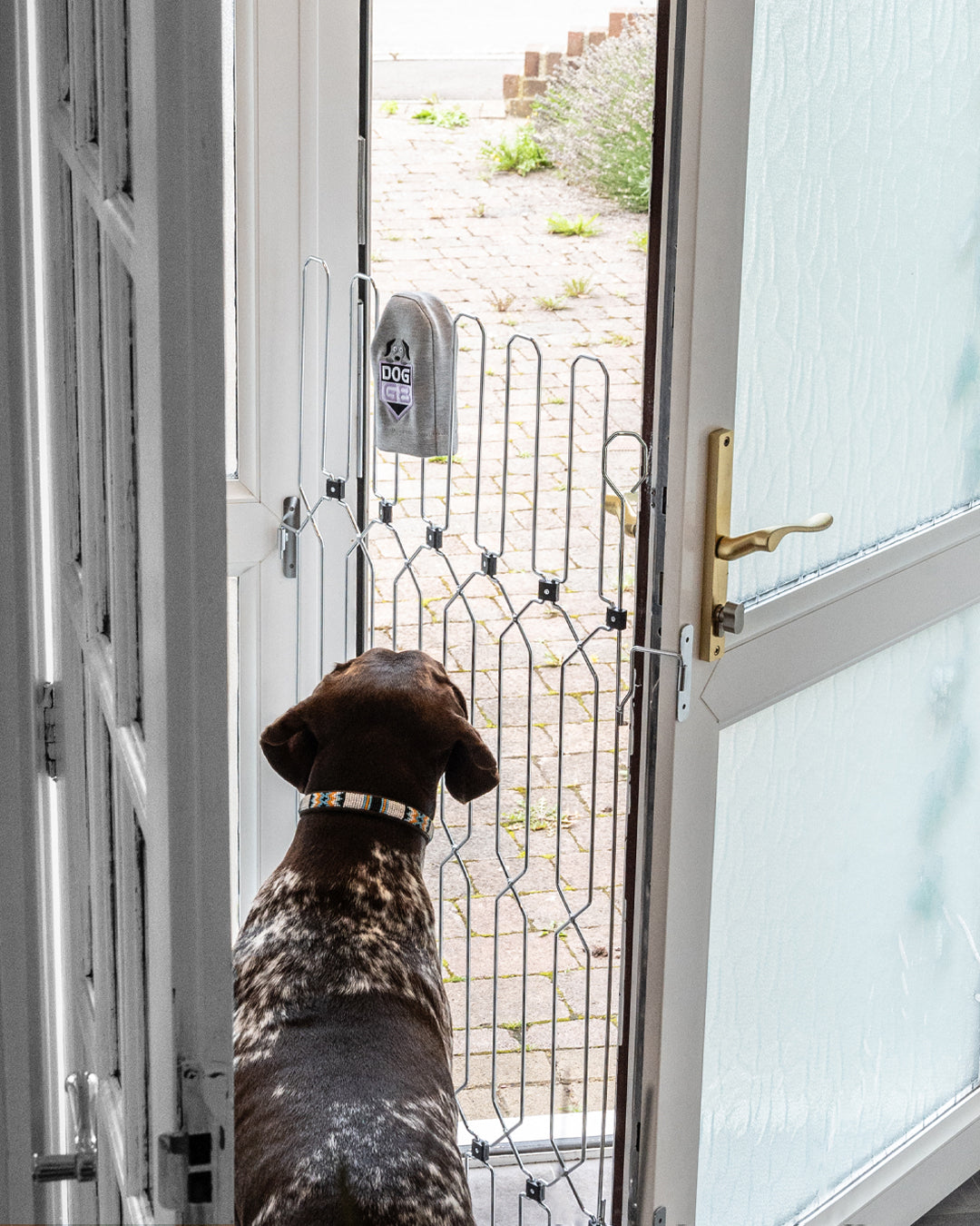 Front Door Dog Safety Gate product image 5