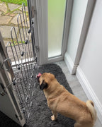 Front Door Dog Safety Gate product image 7