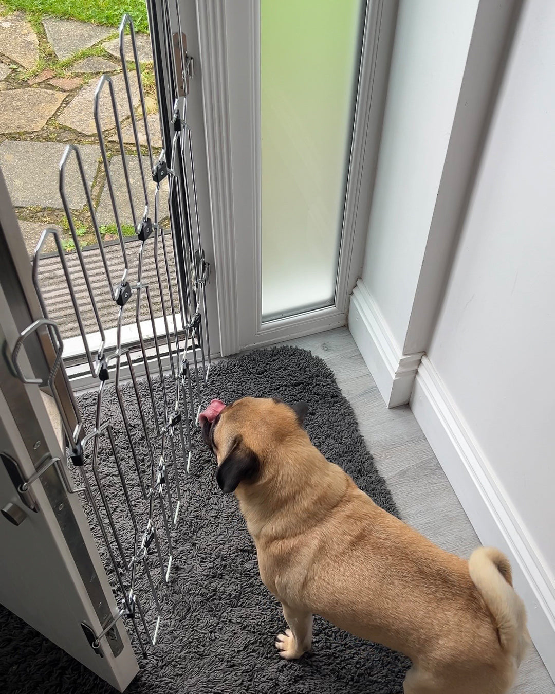 Front Door Dog Safety Gate product image 7