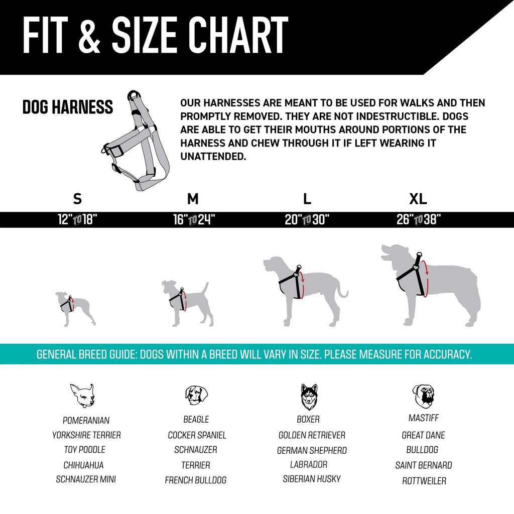 Dog Harness product image 4