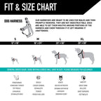 Dog Harness product image 4