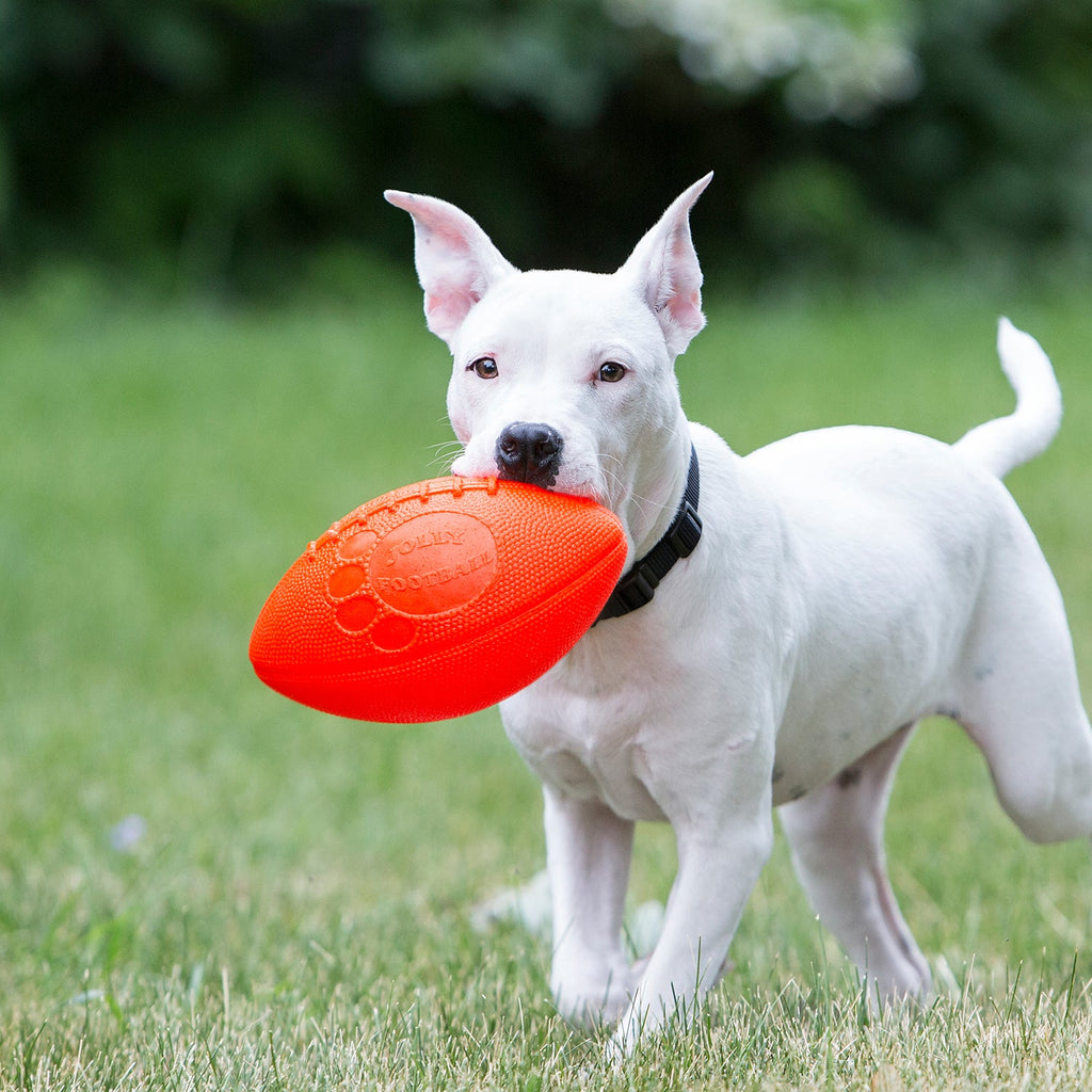 Dog Football product image 2