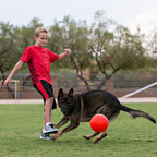 Dog Soccer Ball Toy product image 2