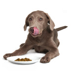 Air-Dried Pork Dog Food product image 7