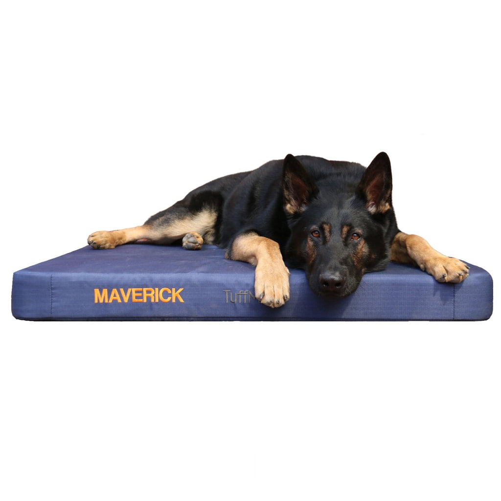 Waterproof Orthopedic Dog Bed product image 14