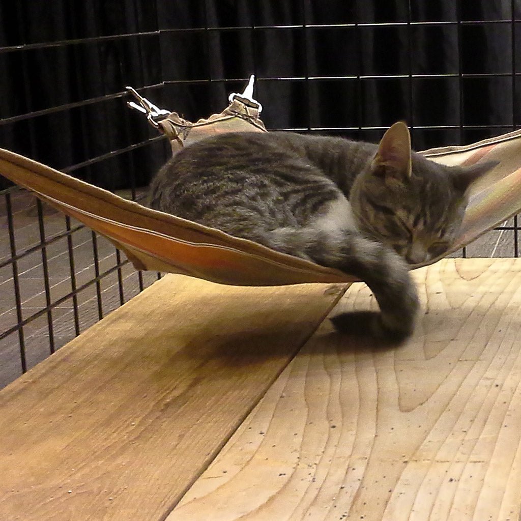 Pet Hammock product image 2