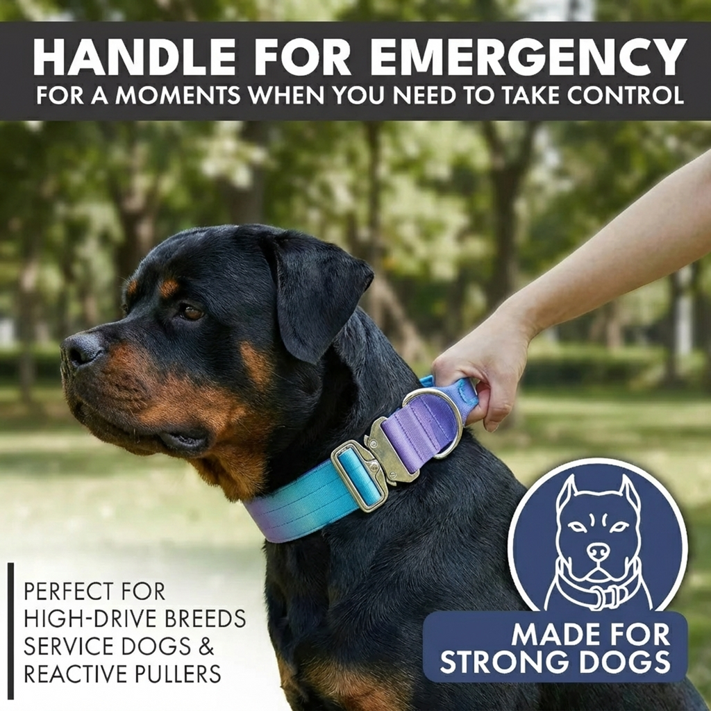 Control-Handle Dog Collar product image 3
