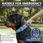 Control-Handle Dog Collar product image 3