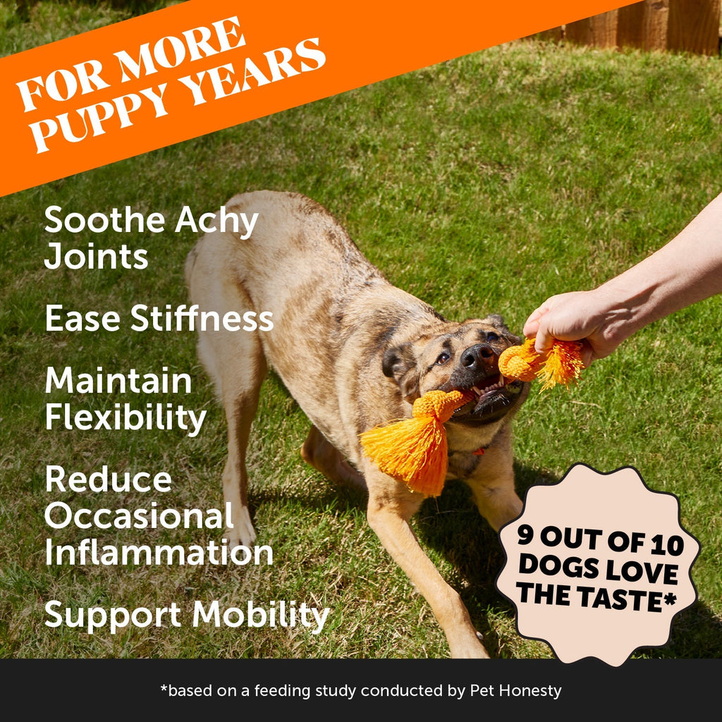 Hemp Hip and Joint Dog Chews product image 2