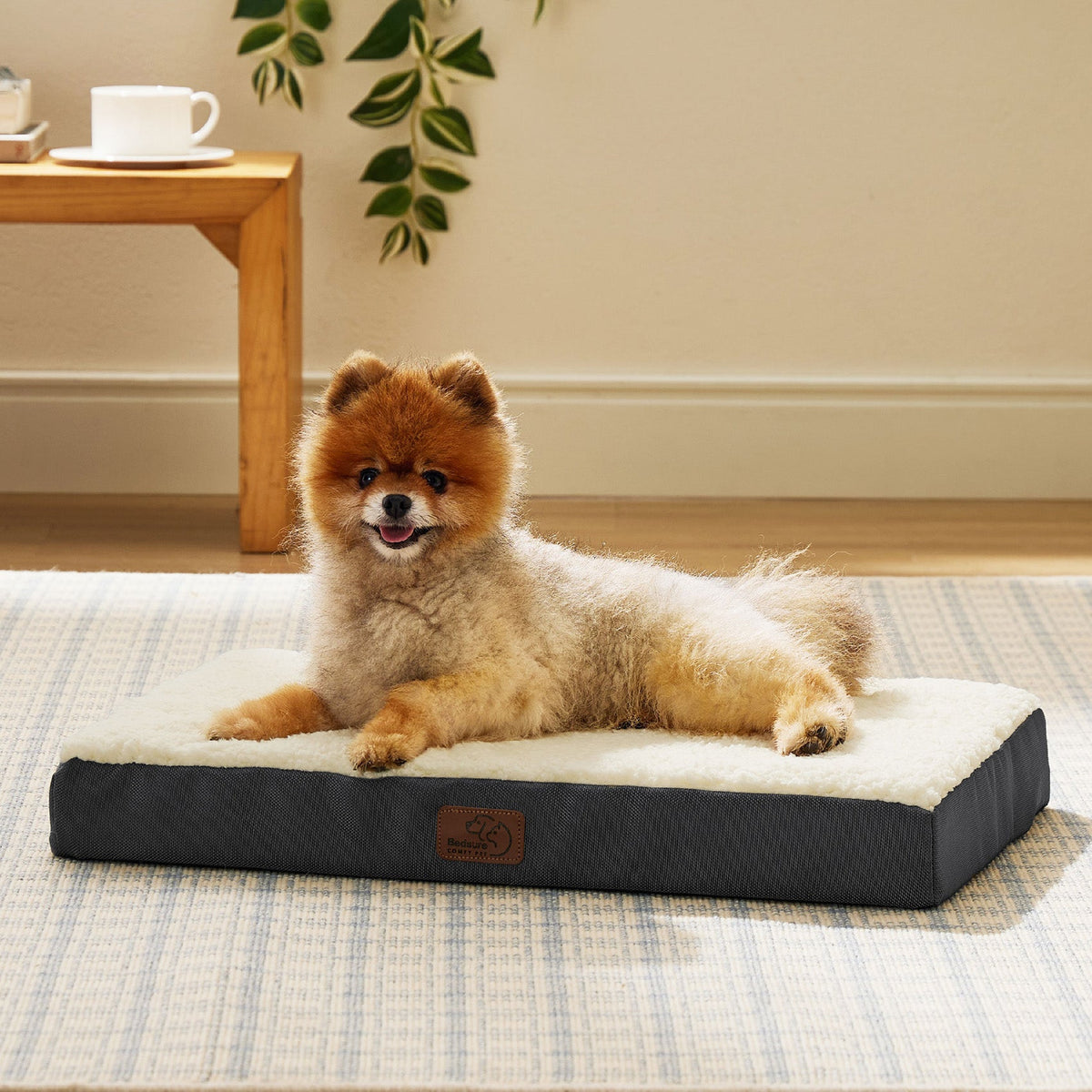 Orthopedic Dog Bed product image 4