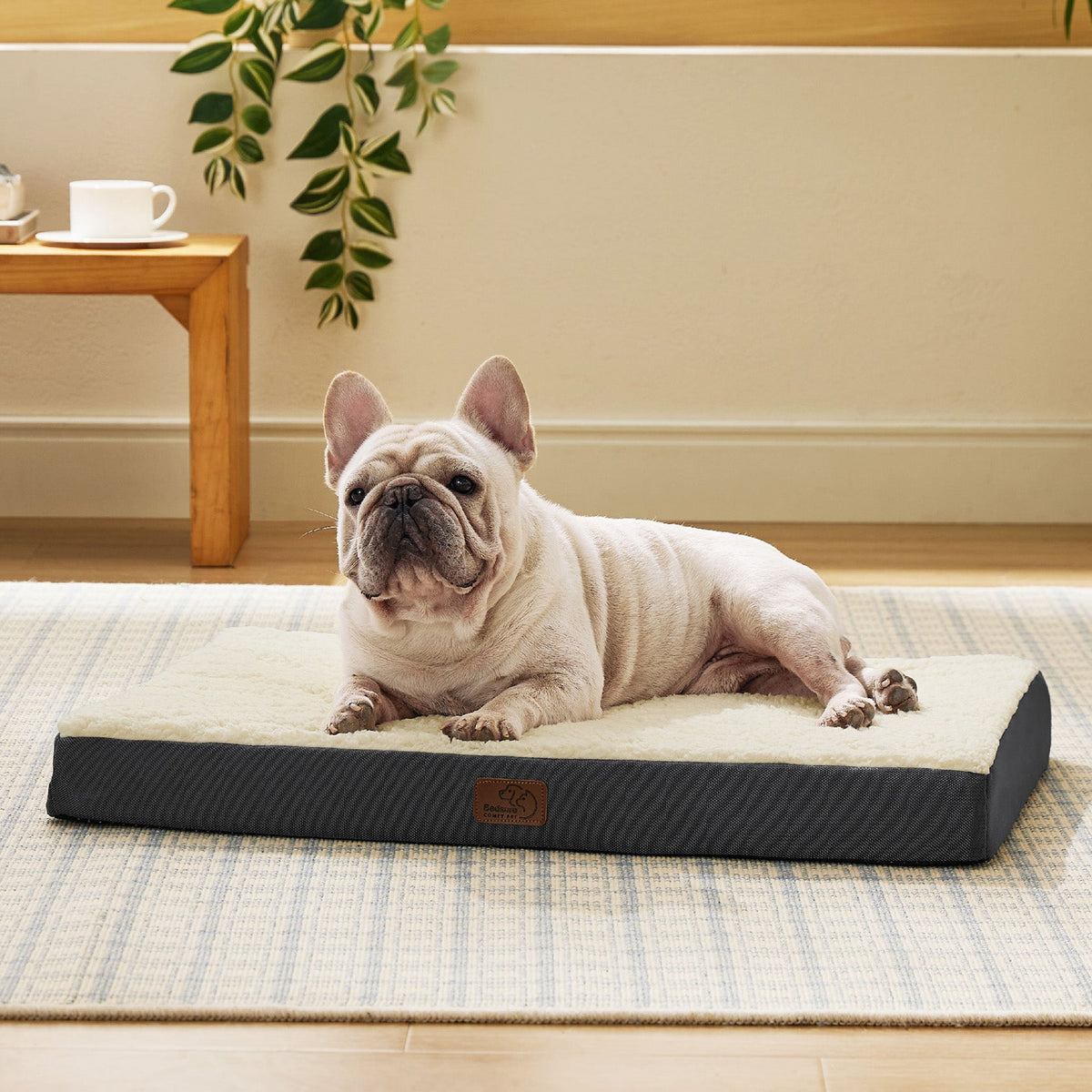 Orthopedic Dog Bed product image 6
