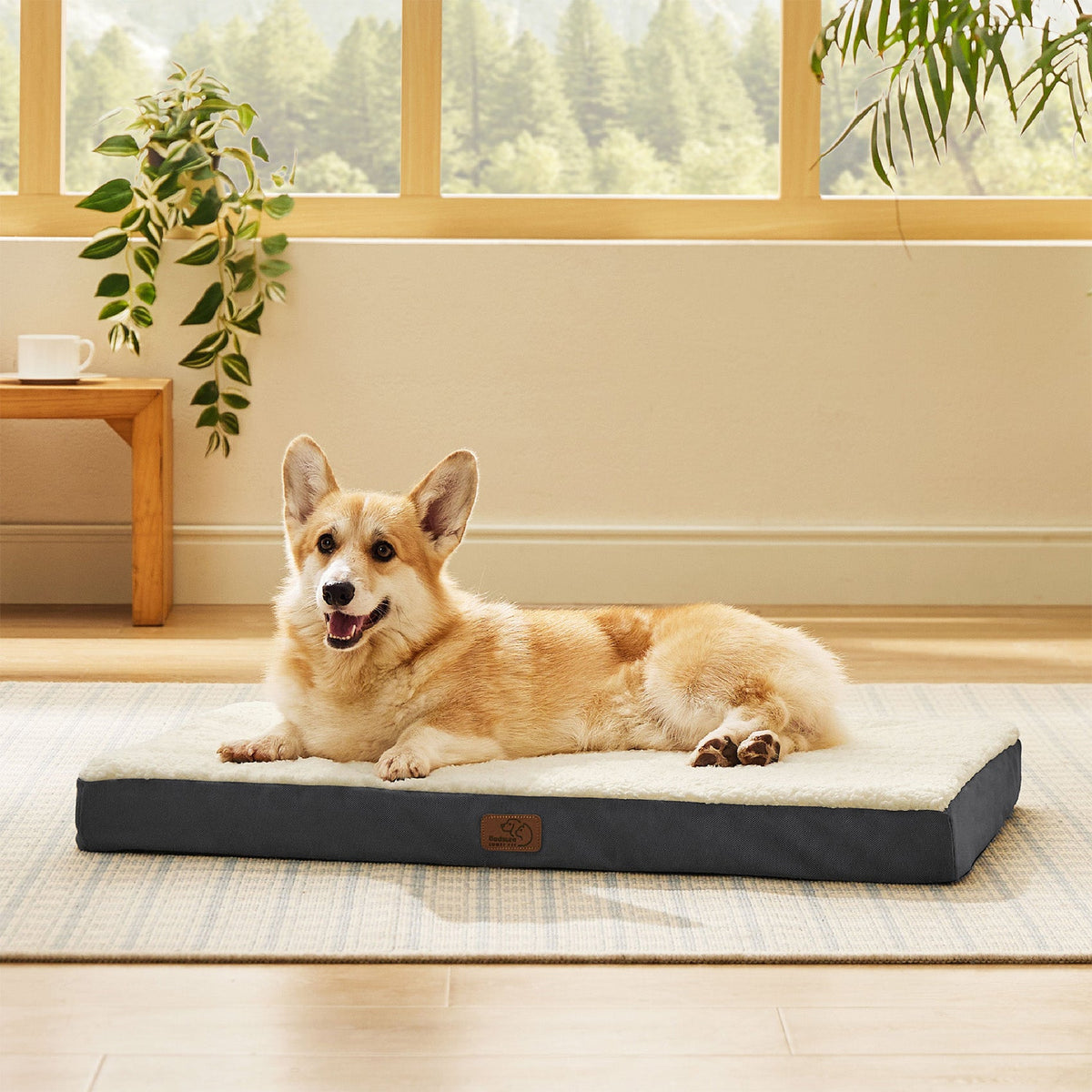 Orthopedic Dog Bed product image 8