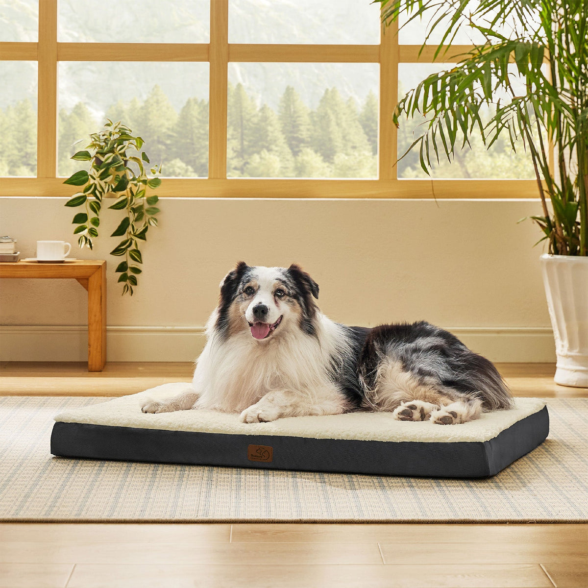 Orthopedic Dog Bed product image 12
