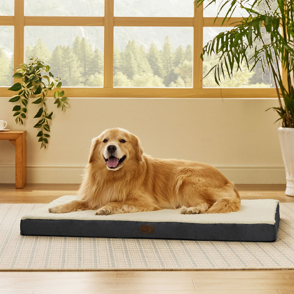 Orthopedic Dog Bed product image 14