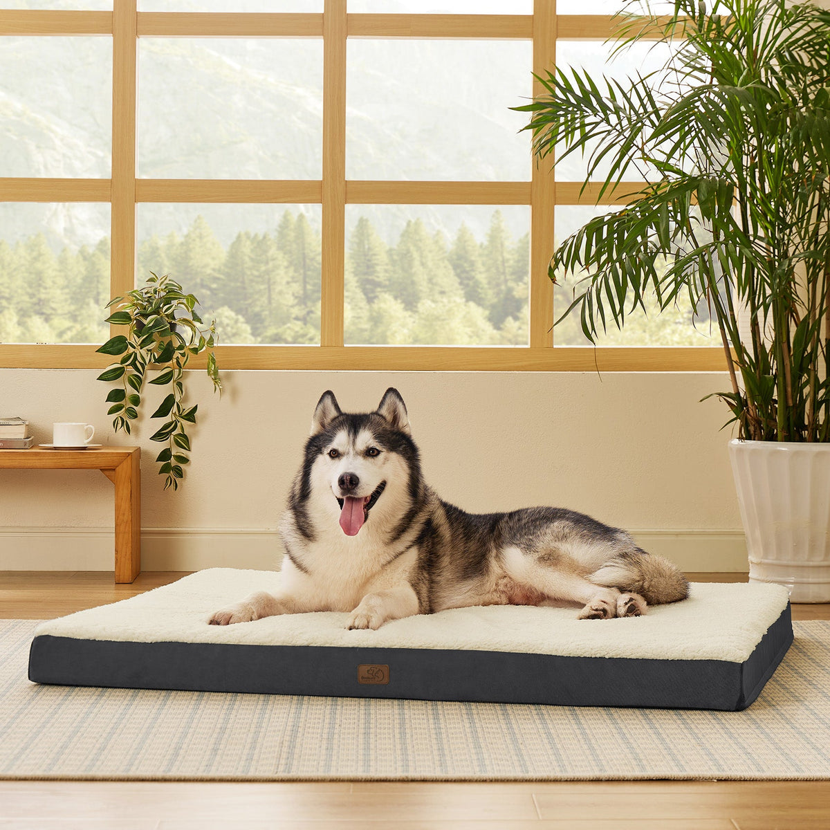 Orthopedic Dog Bed product image 16