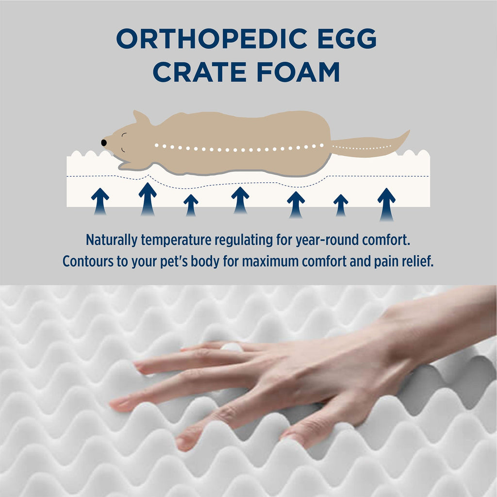 Orthopedic Dog Bed product image 19