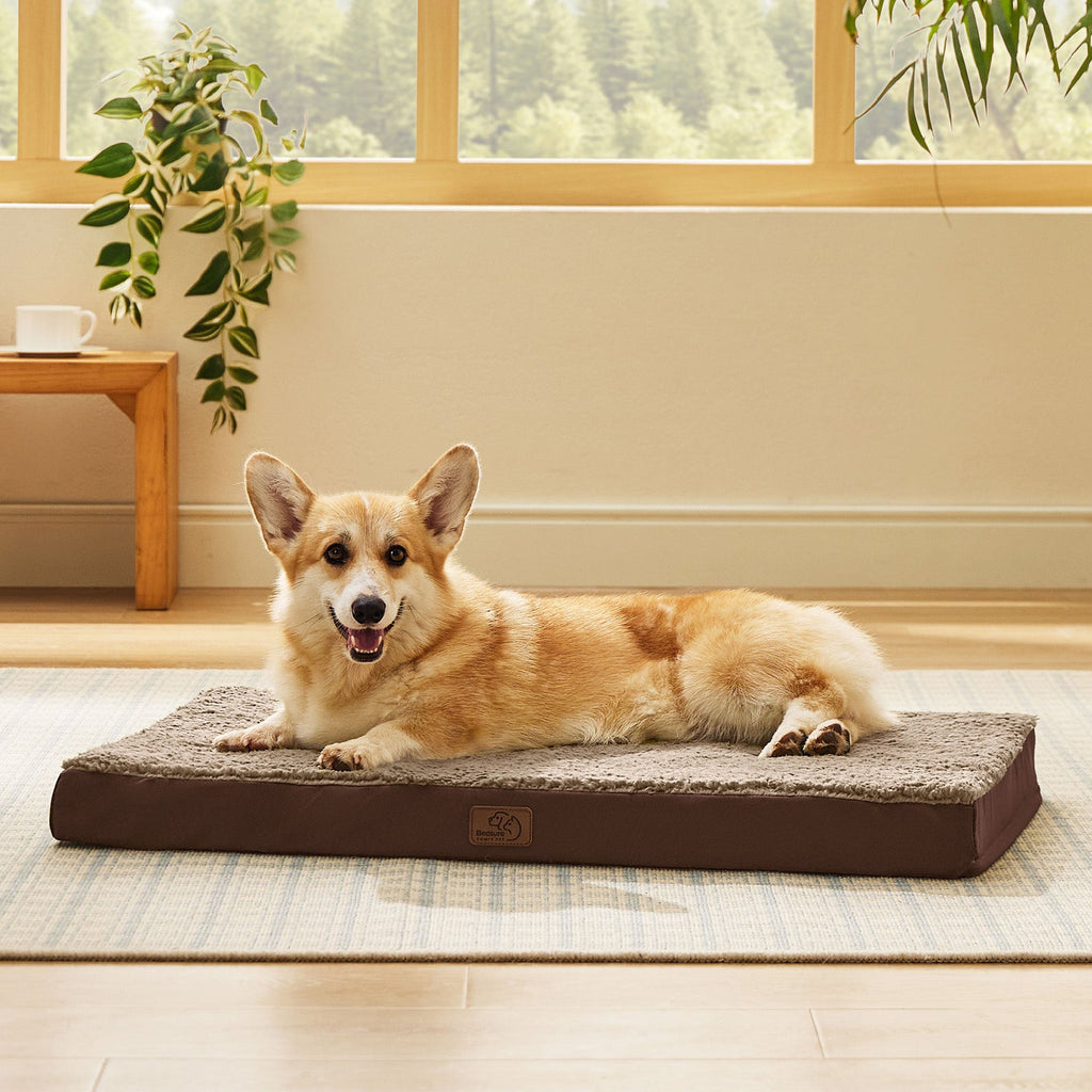 Orthopedic Dog Bed product image 26