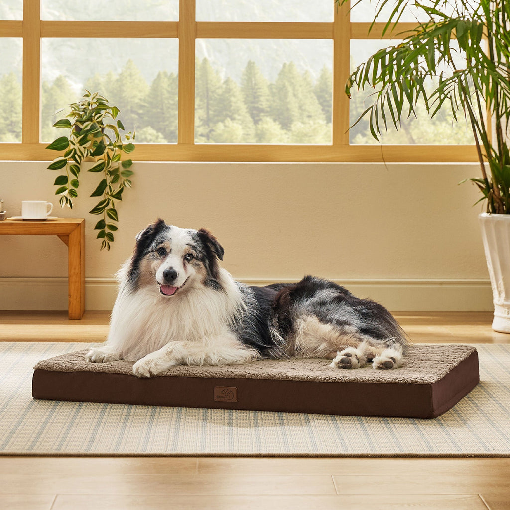 Orthopedic Dog Bed product image 30