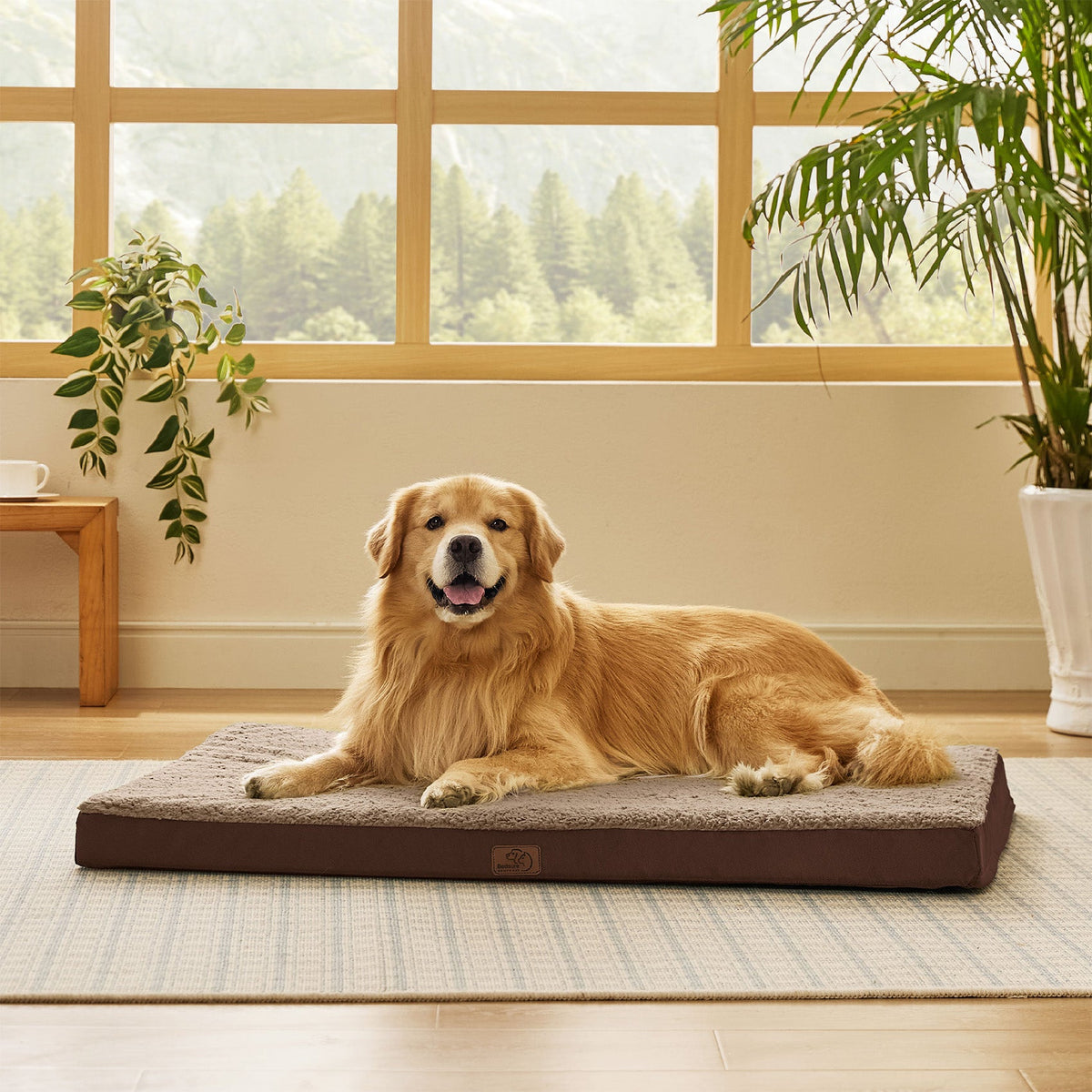 Orthopedic Dog Bed product image 32