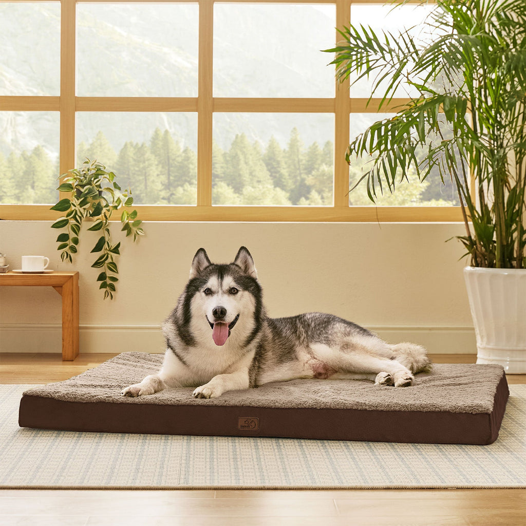 Orthopedic Dog Bed product image 33