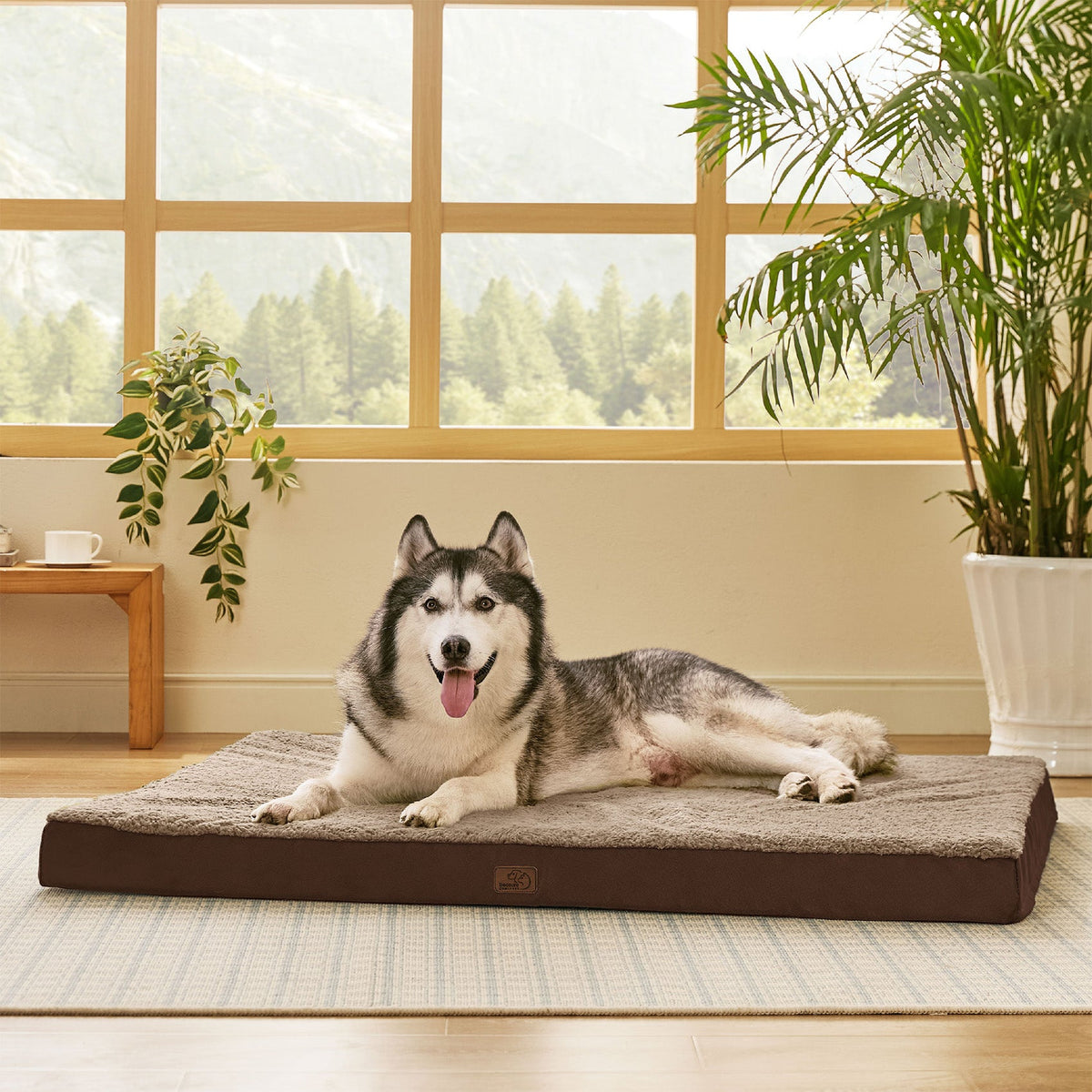 Orthopedic Dog Bed product image 33