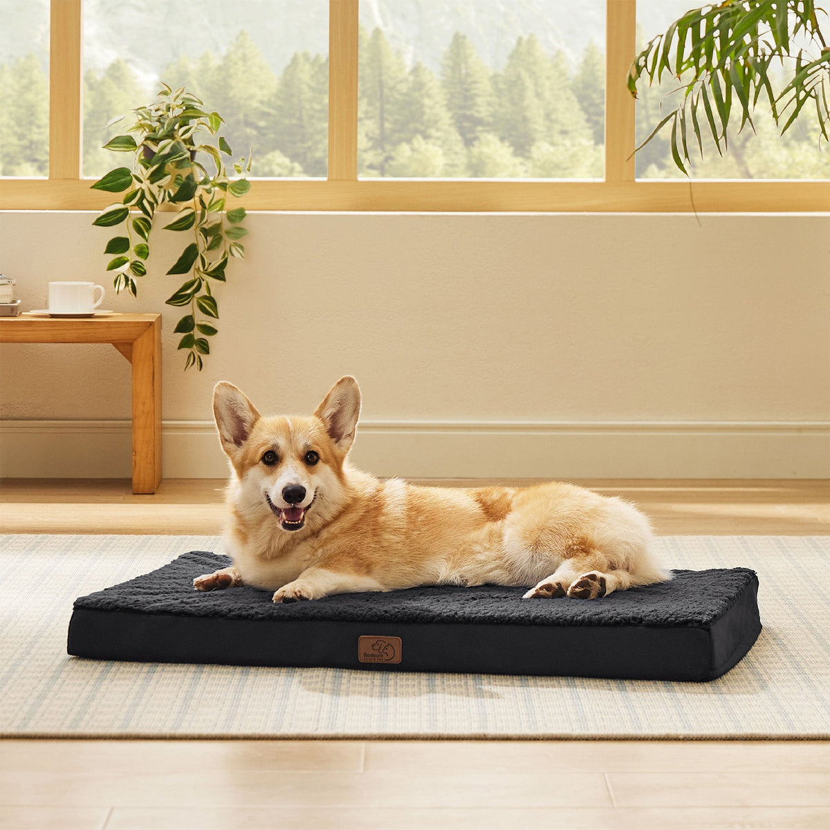Orthopedic Dog Bed product image 40