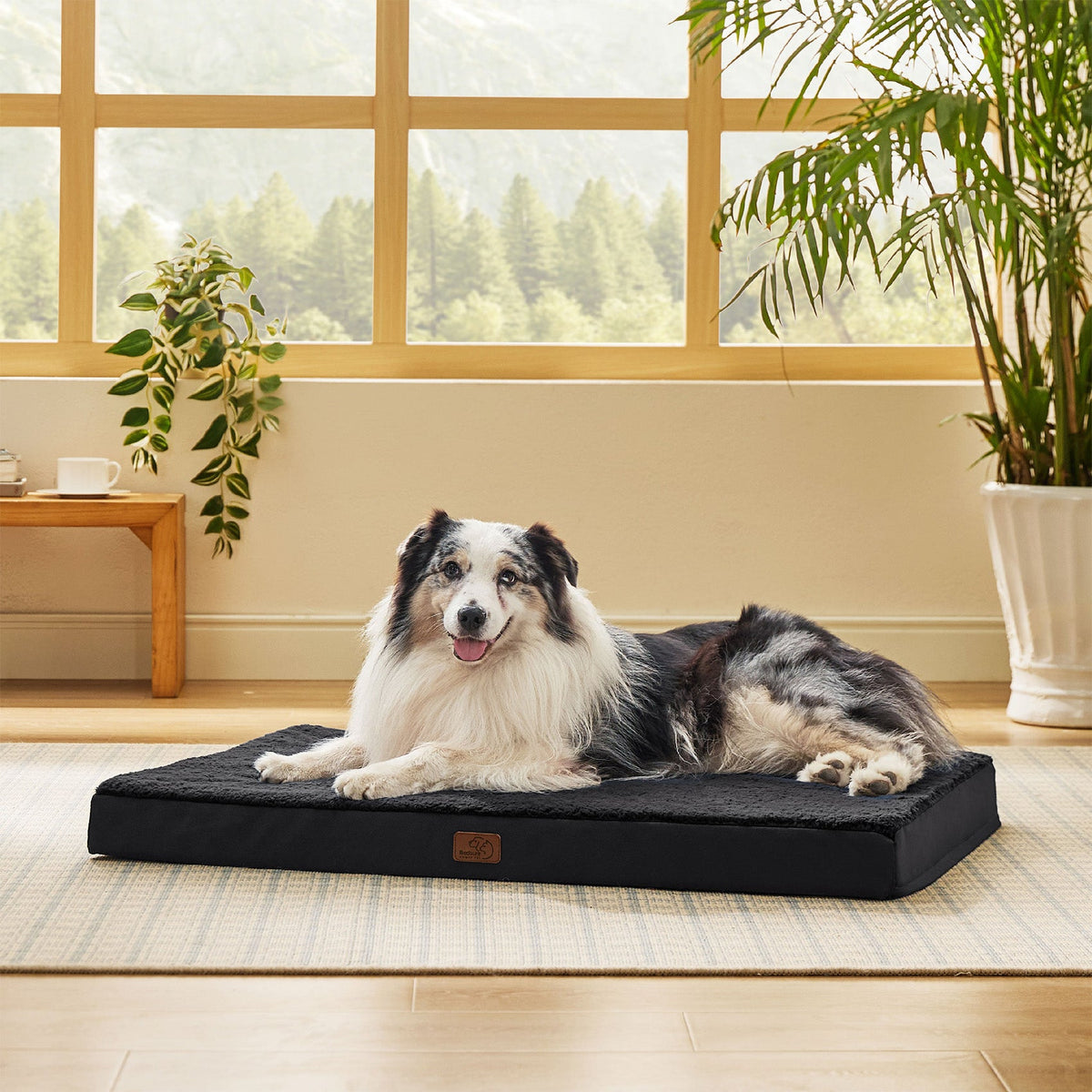 Orthopedic Dog Bed product image 44