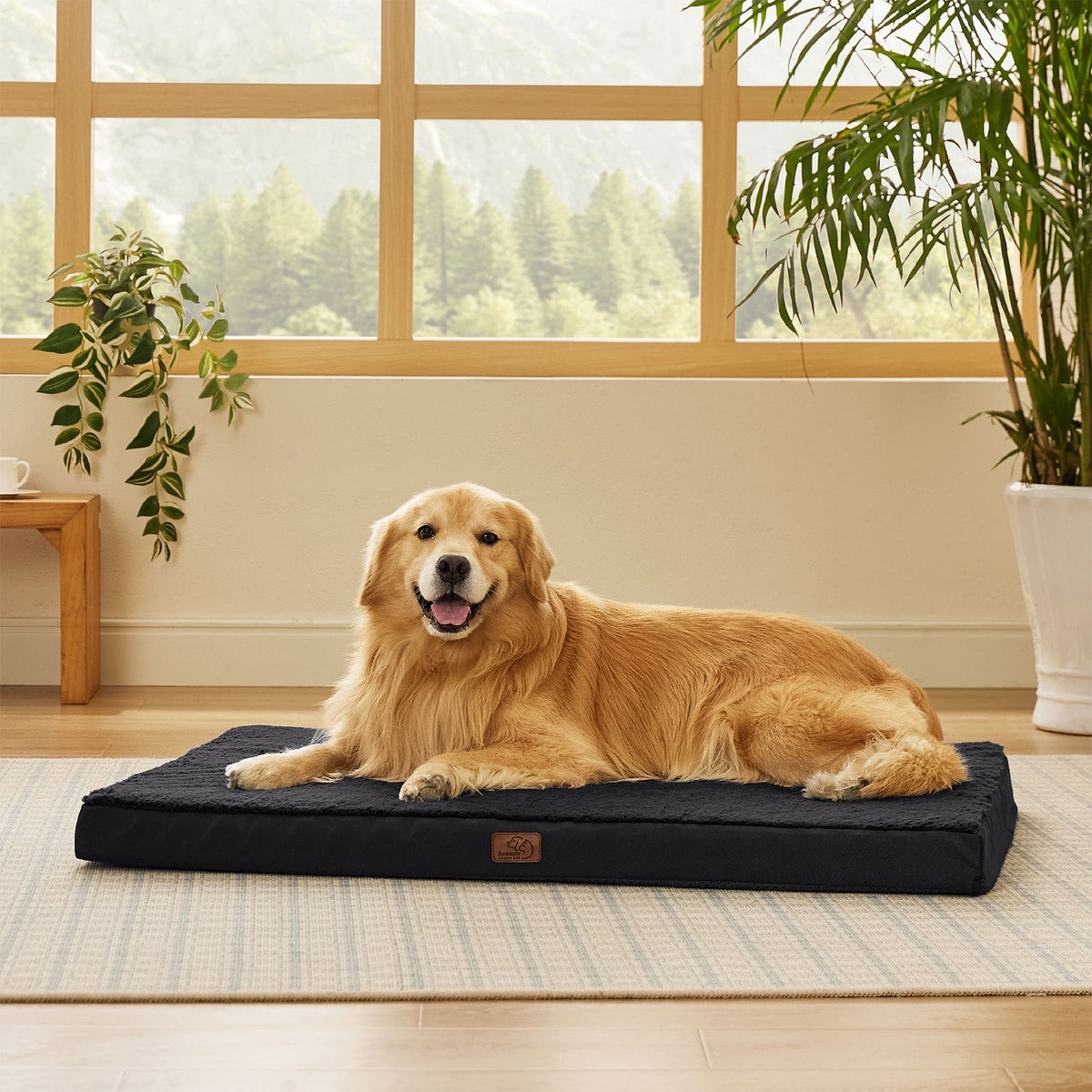 Orthopedic Dog Bed product image 46