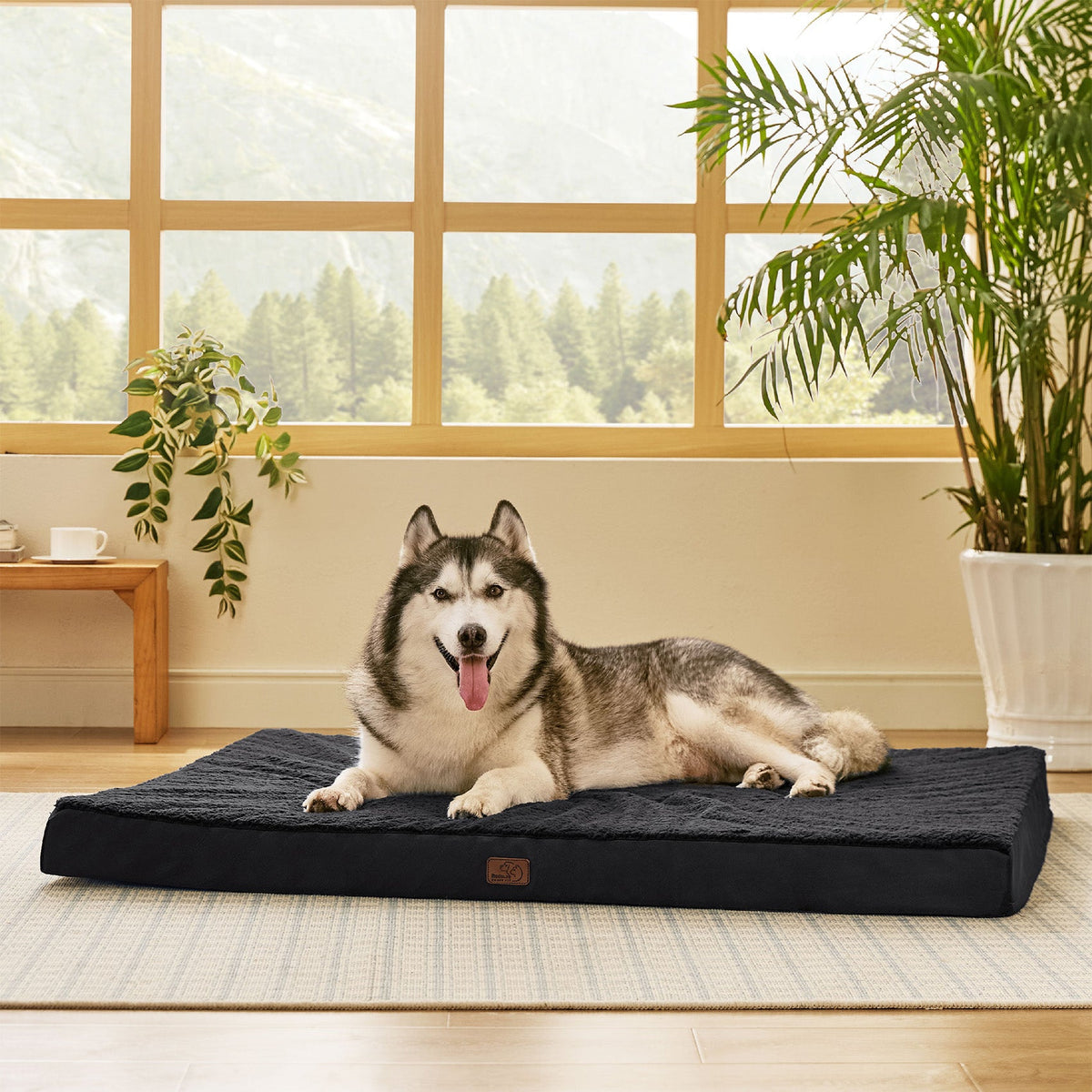Orthopedic Dog Bed product image 48