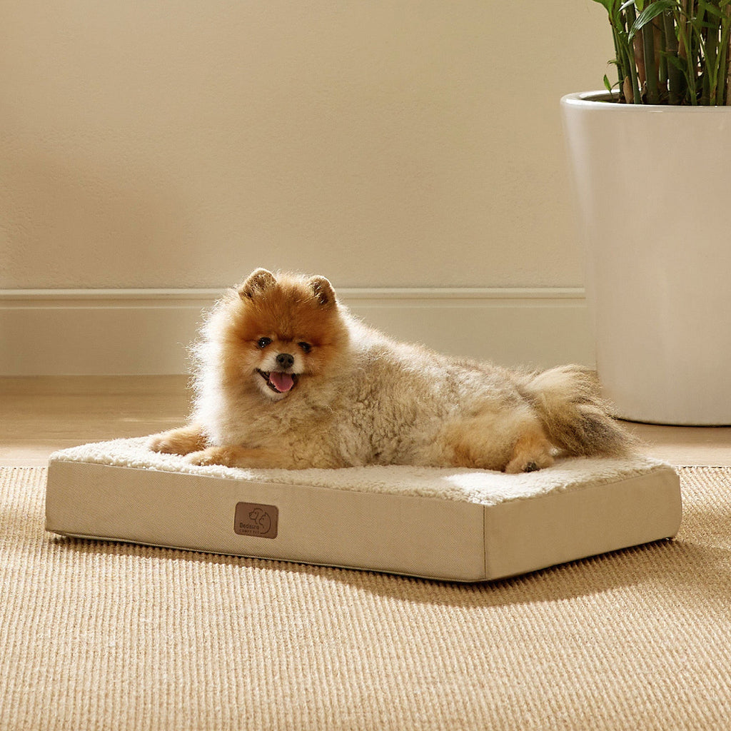 Orthopedic Dog Bed product image 50