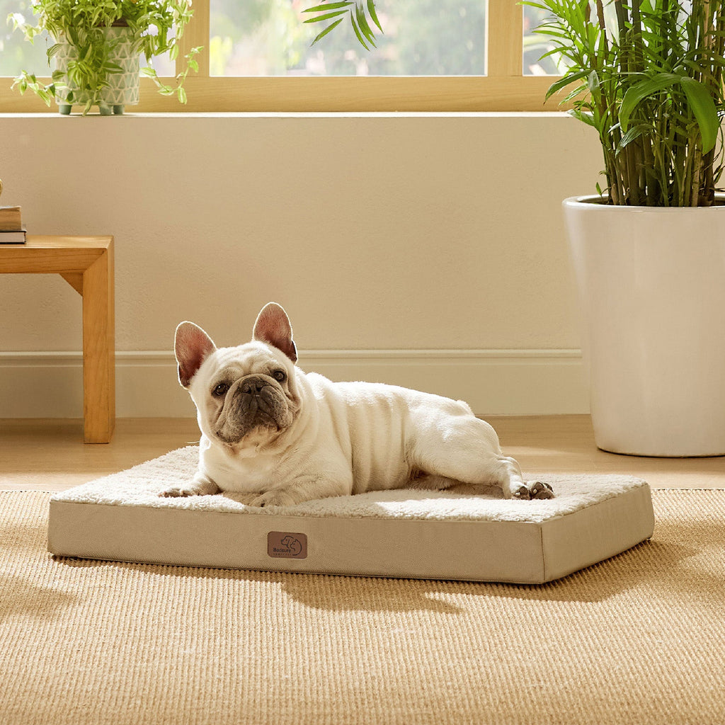 Orthopedic Dog Bed product image 52