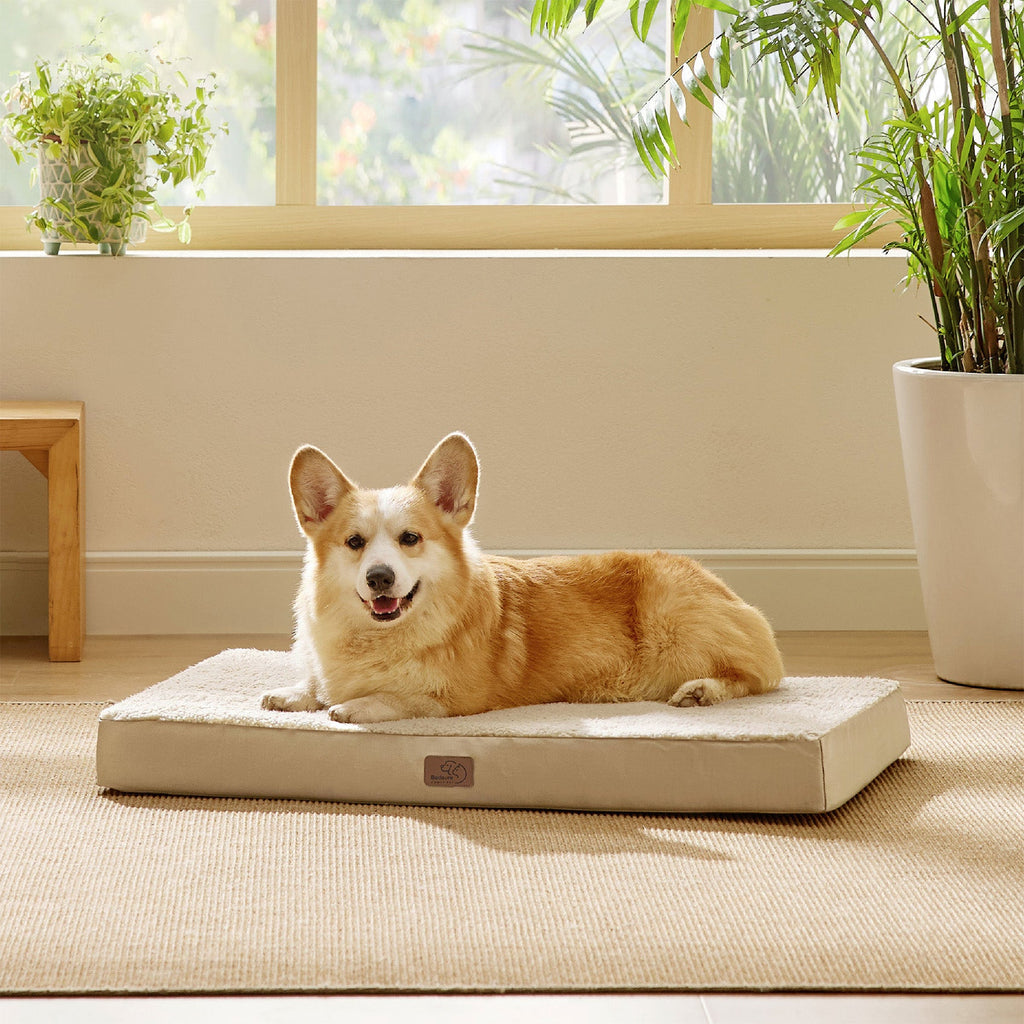 Orthopedic Dog Bed product image 54