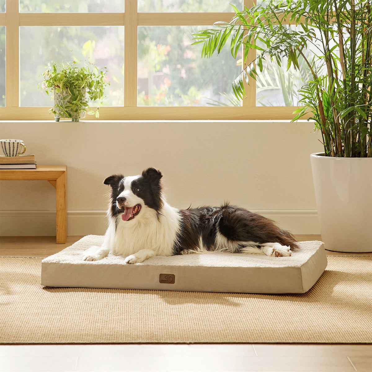 Orthopedic Dog Bed product image 56
