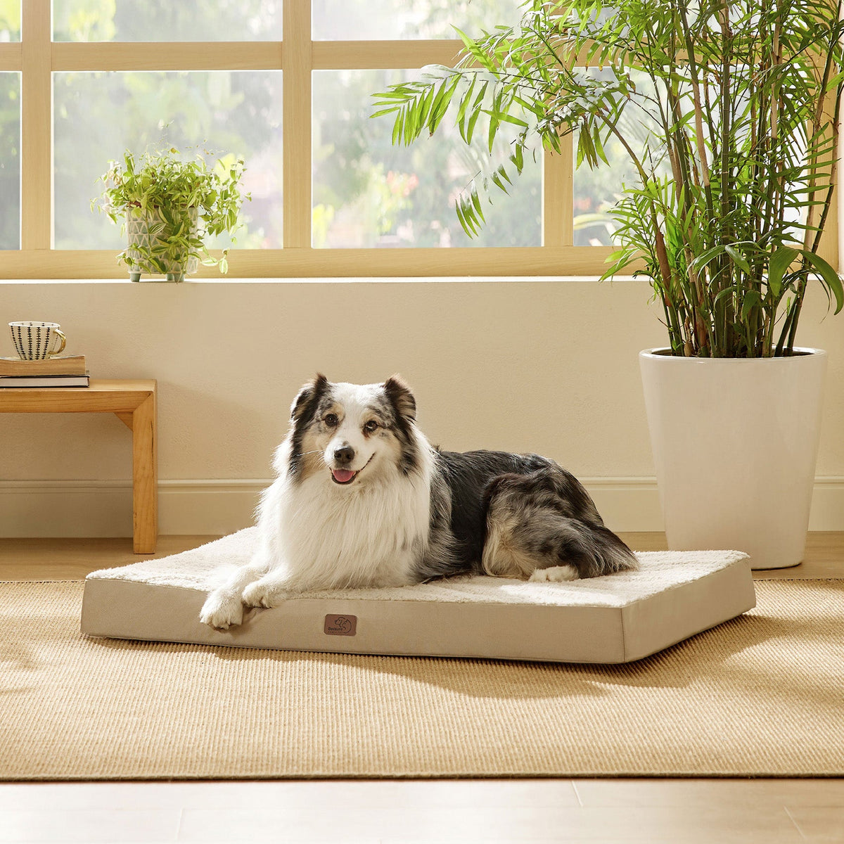 Orthopedic Dog Bed product image 58