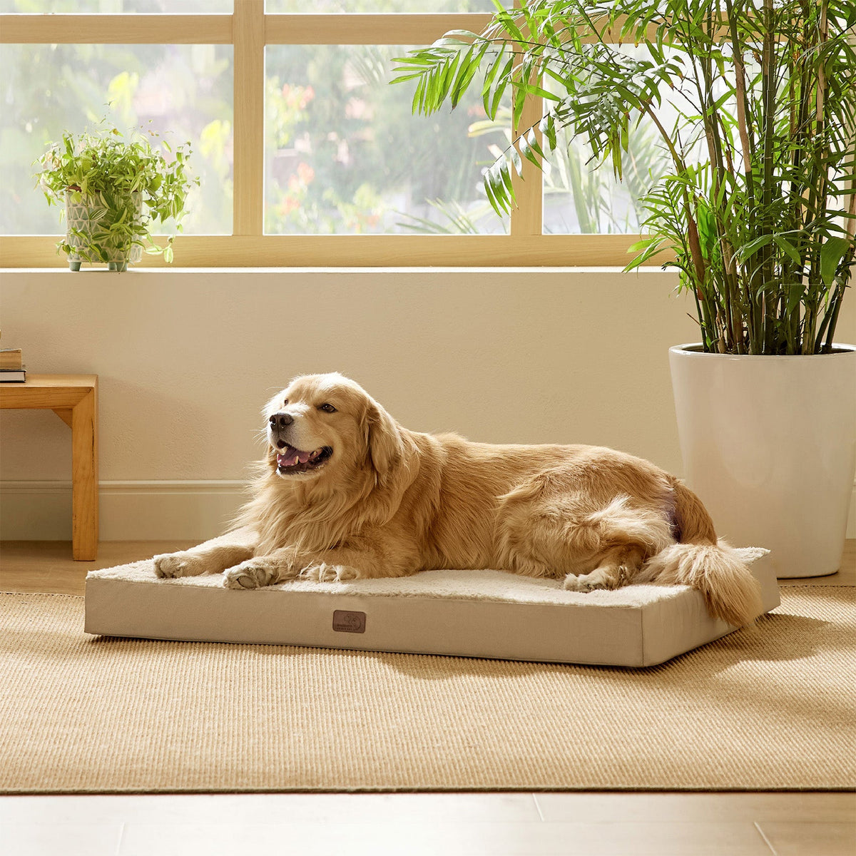 Orthopedic Dog Bed product image 60